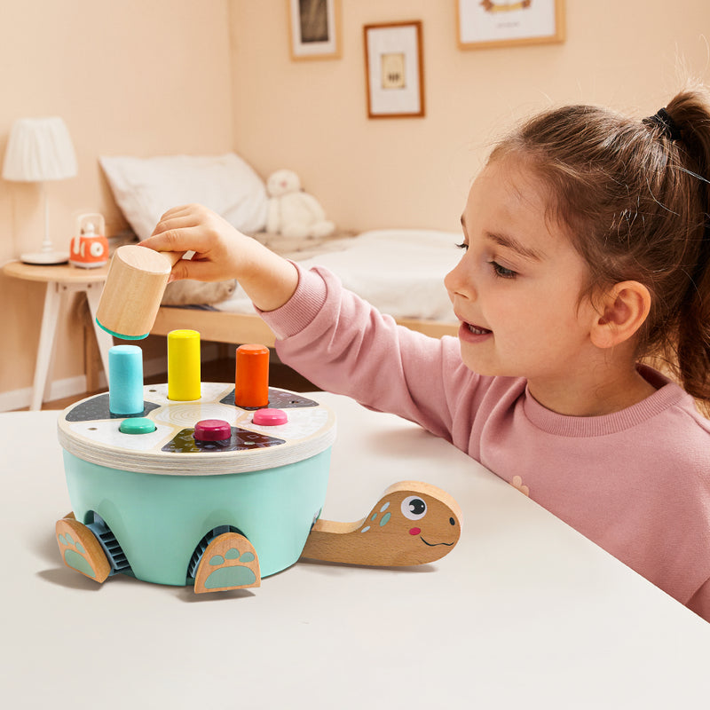 Hammer Turtle Wooden Toy | Motor Skills & Color Learning - 