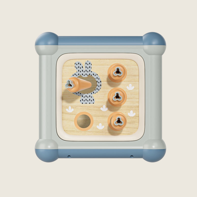 Motoric Master 10-IN-1 Activity Cube | Educational Toy for Toddlers