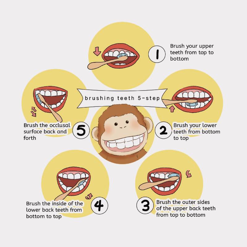 Care Pets Smiley Monkey