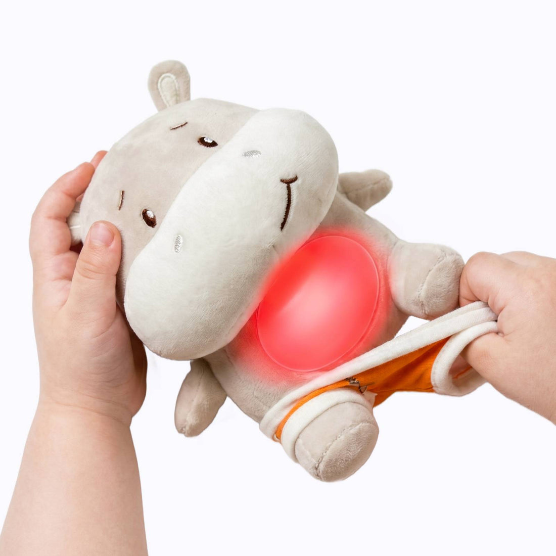 Care Pets Poo Buddy