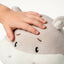 Care Pets Poo Buddy