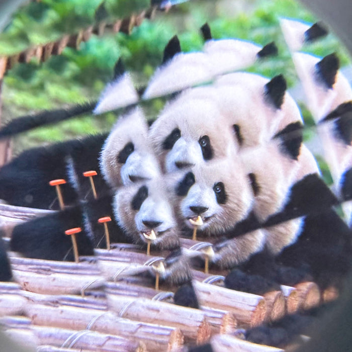 Busy Camera 10-in-1 Sensory Toy for Toddlers 12M+