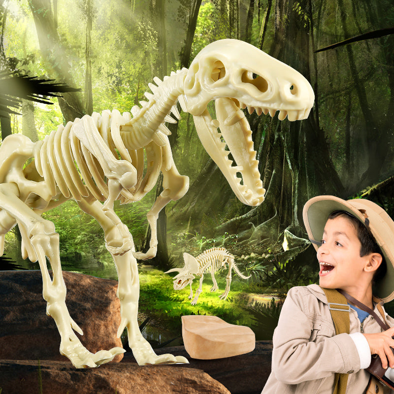 Tyranno Saurus-Rex - Dinosaur Fossil Dig Kit