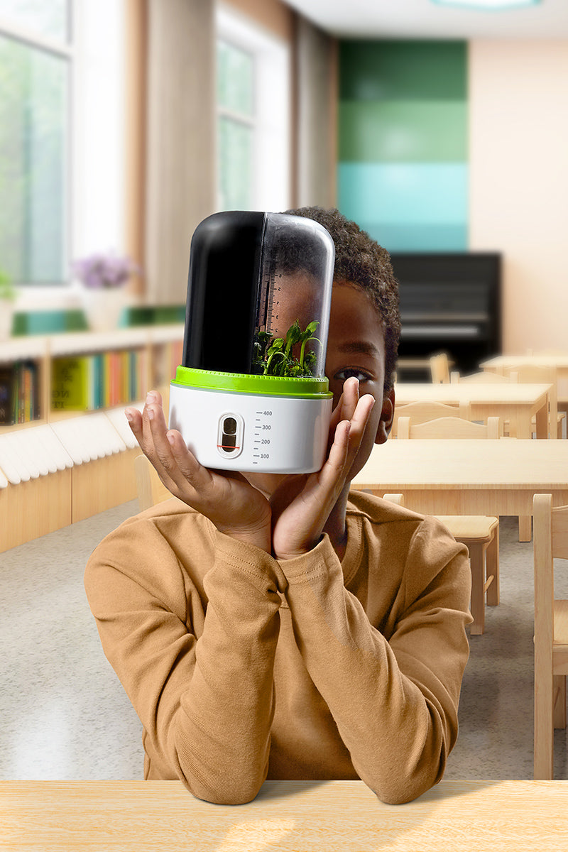 Plant Growth Station