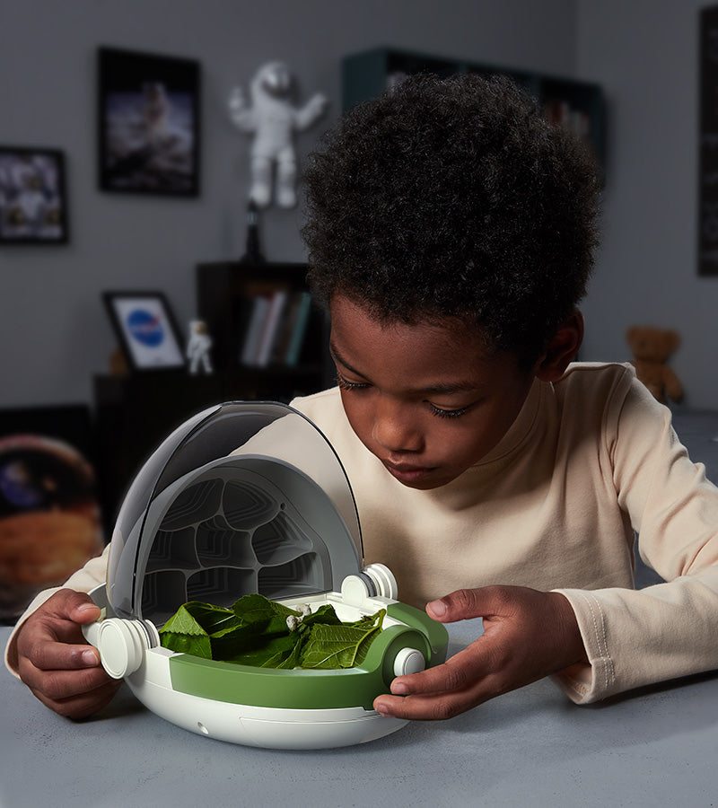 Insects Growth Station