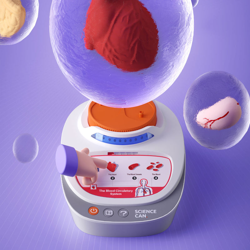 My Body Voice Pedia | Interactive Anatomy STEM Toy for Kids