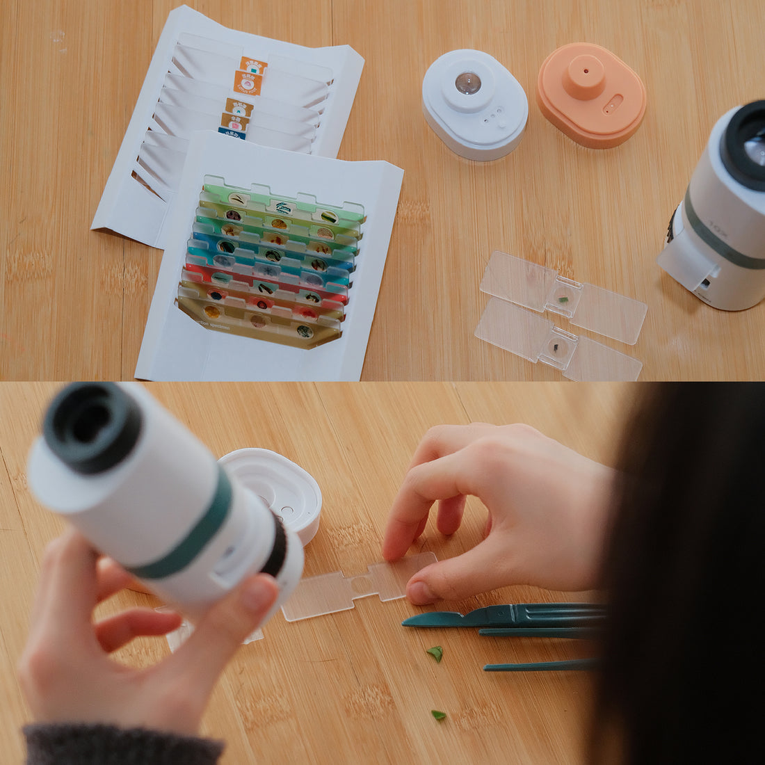 Young child using the kids’ Projector Microscope to explore plant samples – STEM learning toy for children age 5+