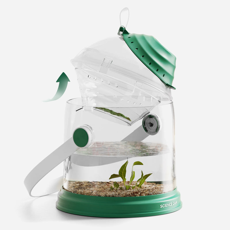 Insect & Aqua Explorer Set | Dual-Chamber Science Kit for Kids