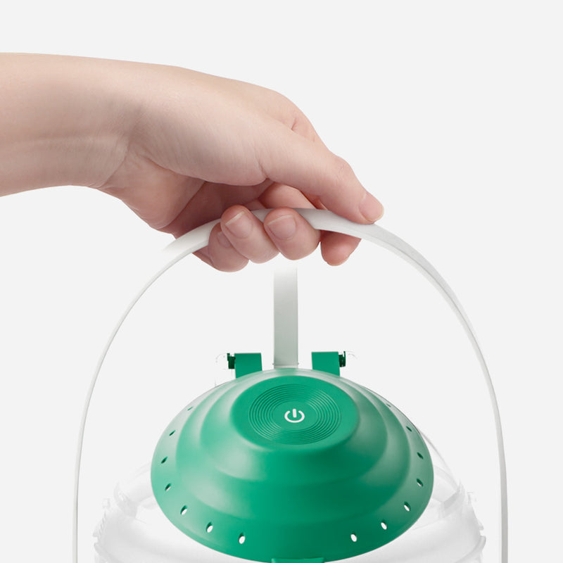 Insect & Aqua Explorer Set | Dual-Chamber Science Kit for Kids