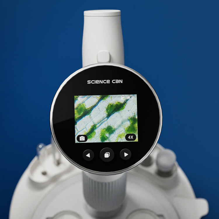 Microscope 400 Vision