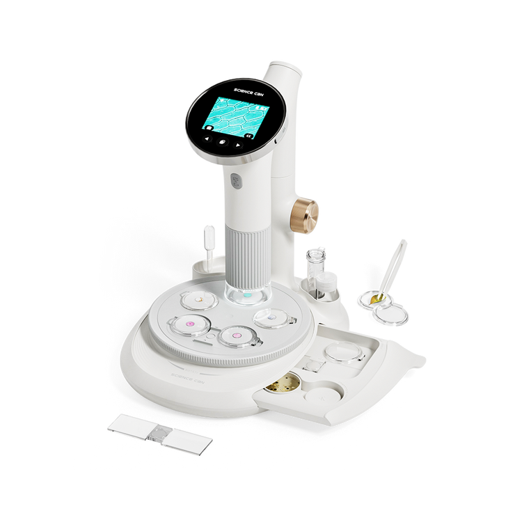 Microscope 400 Vision