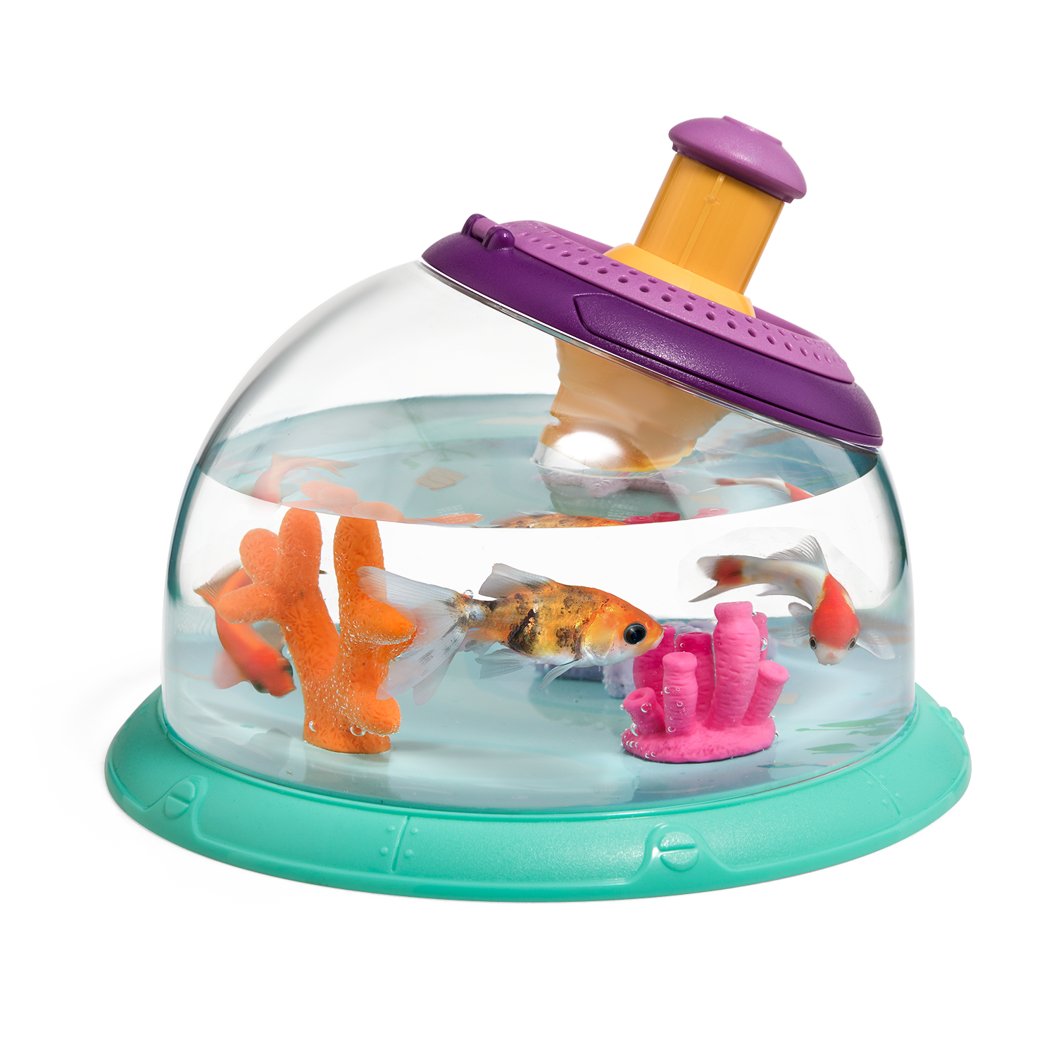 昆虫和水族观察器