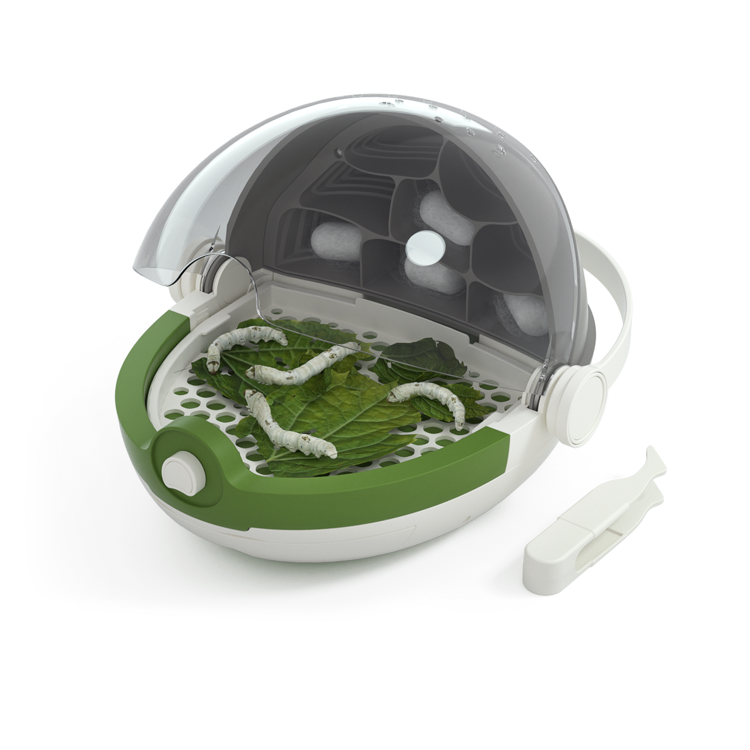Insects Growth Station