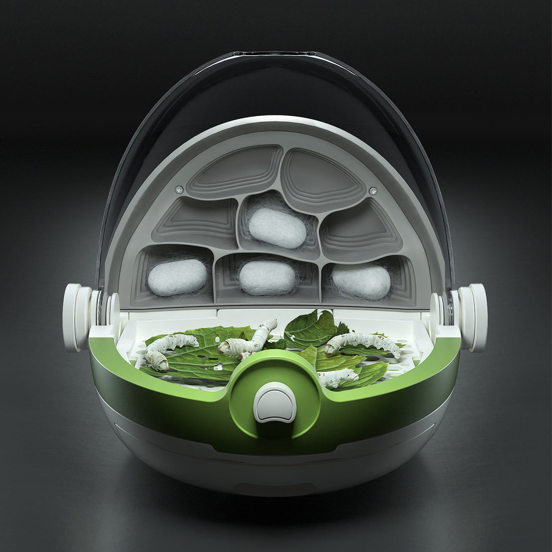 Insects Growth Station