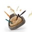 Mesozoic Super - Dinosaur Fossil Dig Kit
